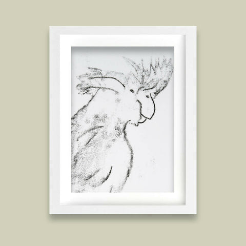 Black Cockatoo - Monoprint