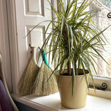 Hens Wing Hand Broom
