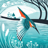 Canal Kingfisher