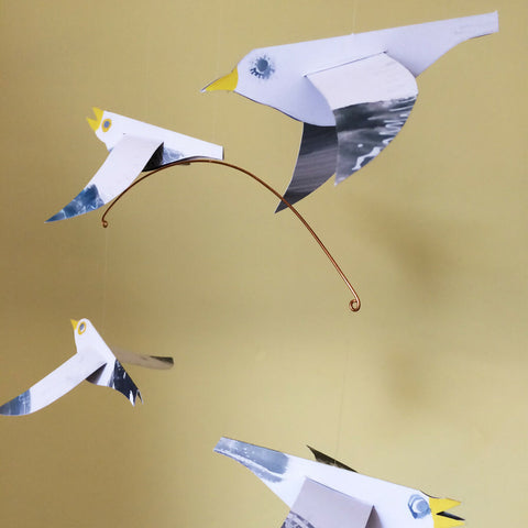 Seagulls 2
