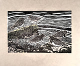 Shoreline Turnstones - Linocut Print