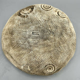 Green-ammonite-bowl-base