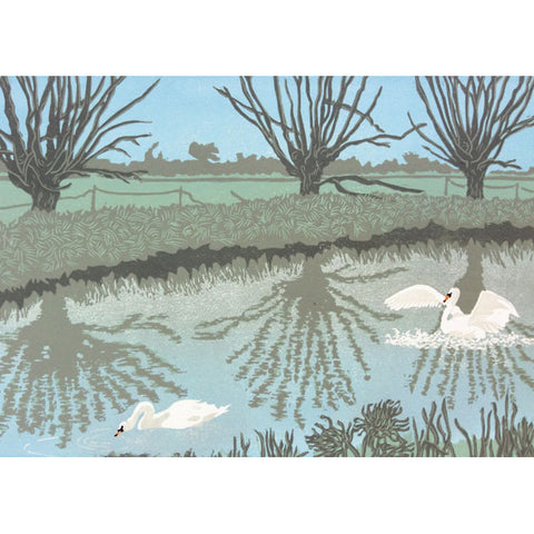 Anne Townshend, Perfect Landing (Swans) - Fine Art greeting card