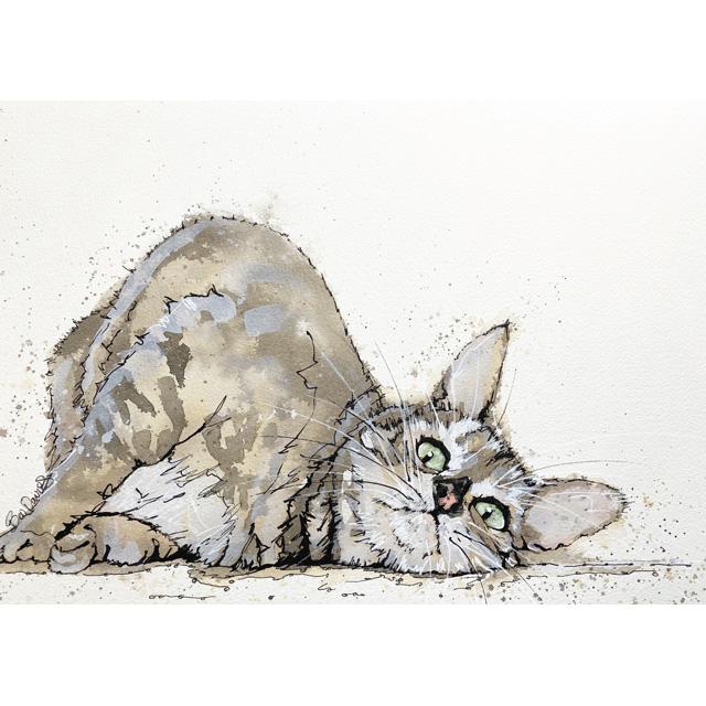 Bev Davies, Sleepy Cat, Fine Art Greeting Card