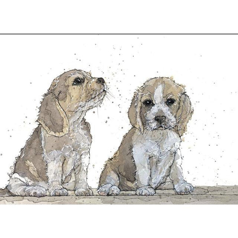 Bev Davies, Pups, Fine Art Greeting card