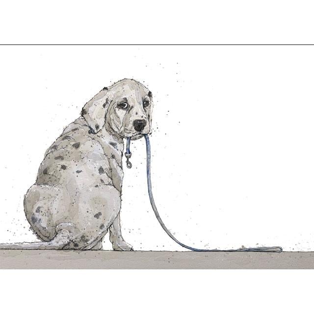Bev Davies, Patience (Dog), Fine Art Greeting Card
