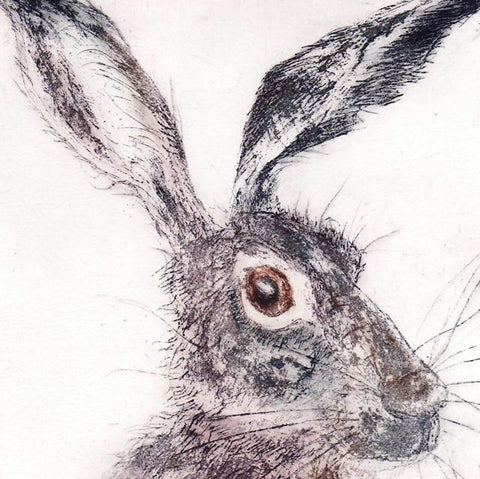 Caroline Barker, Surprising Hare