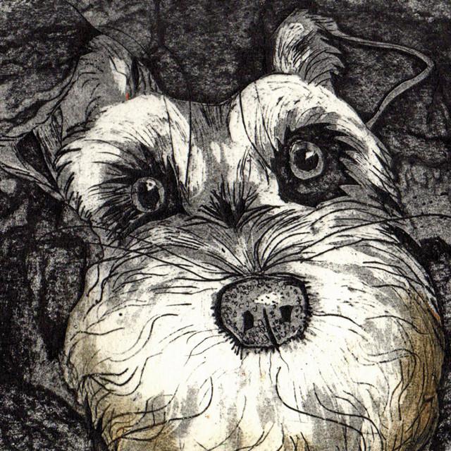 Caroline Barker, Bearded Friend (Dog)