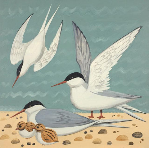 Catriona Hall, Taking Terns, Fine Art Greeting Card