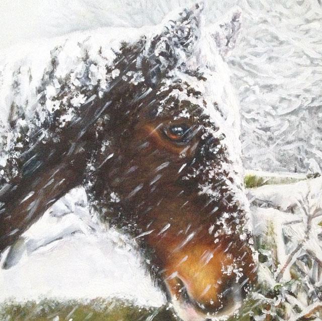 Helen Eaton, Woodrow In The Snow, Fine Art Greeting Card