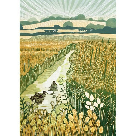 Helen Maxfield, Mallards In The Marshes, Blank Art Card
