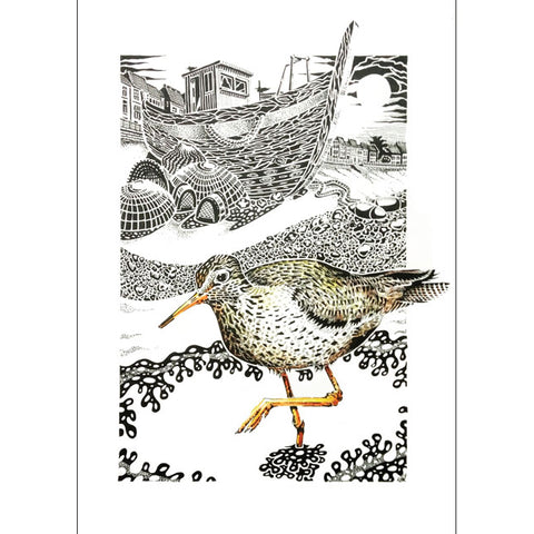 Kevin Cook, Common Redshank, Fine Art Greeting card