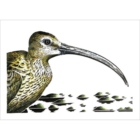 Kevin Cook, Curlew, Fine Art Greeting Card