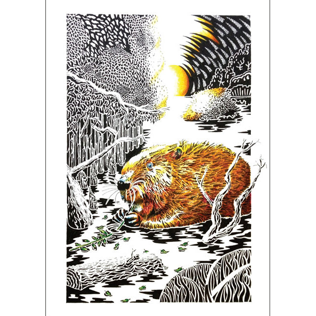 Kevin Cook, Beaver at Sunset, Blank Art Card
