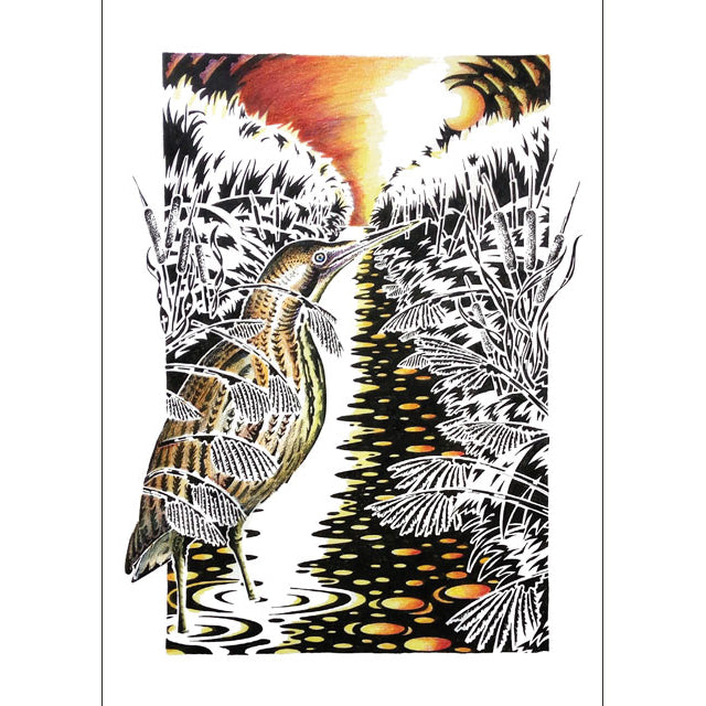 Kevin Cook, Bittern In Reed Canal, Blank Art Card