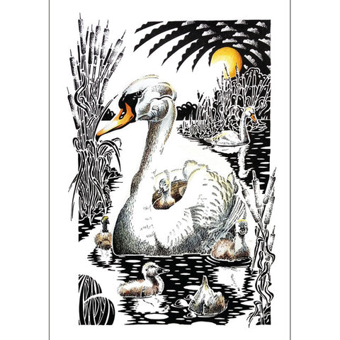 Kevin Cook, Swan and Cygnets, Blank Art Card