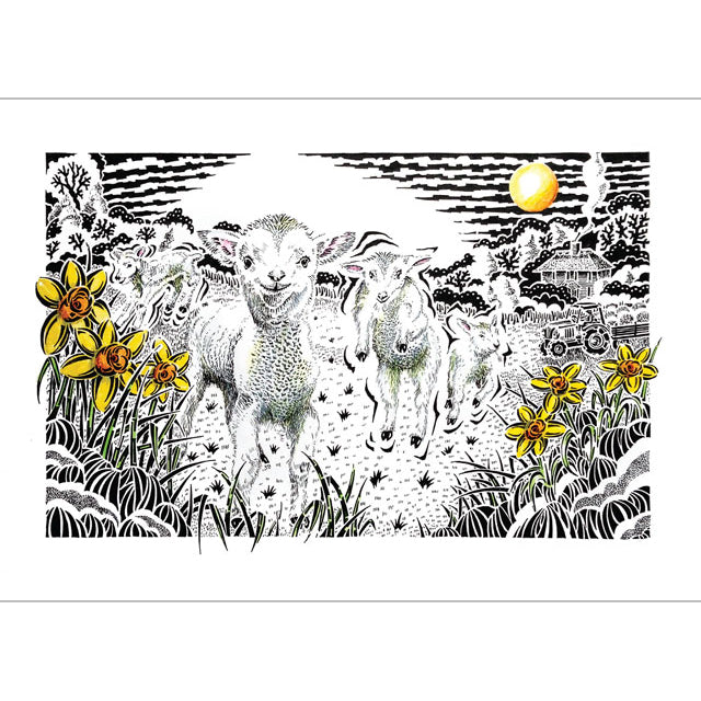 Kevin Cook, Leaping Lambs, Blank Art Card