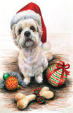 Santa Paws - Set of 8 note cards