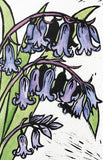 English Bluebells - Set of 8 note cards