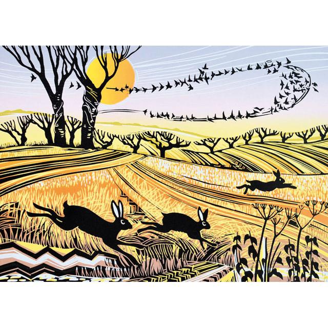 Rob Barnes, Starlings and Hares