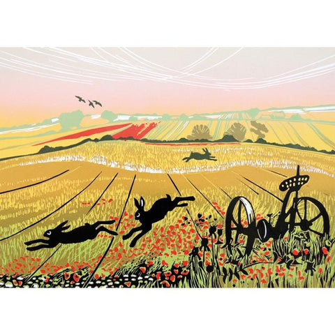 Rob Barnes, Hares In A Poppy Field