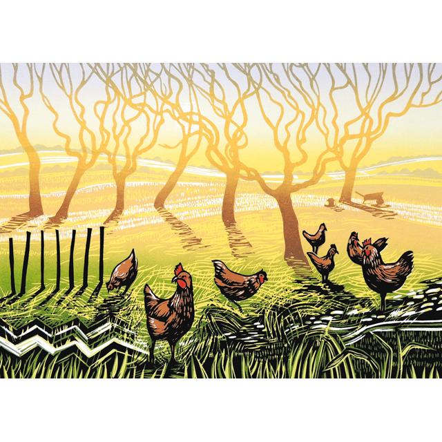 Rob Barnes, Sunrise Chickens, Blank Art Card