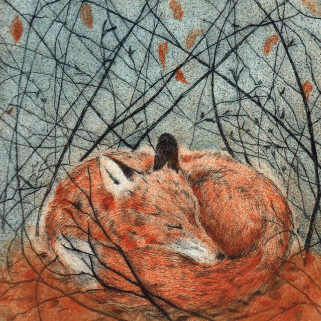Sarah Bays, Resting Fox