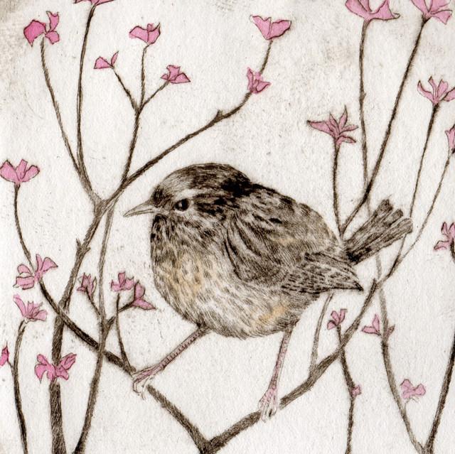 Sarah Bays, Amongst The Blossom (Bird)