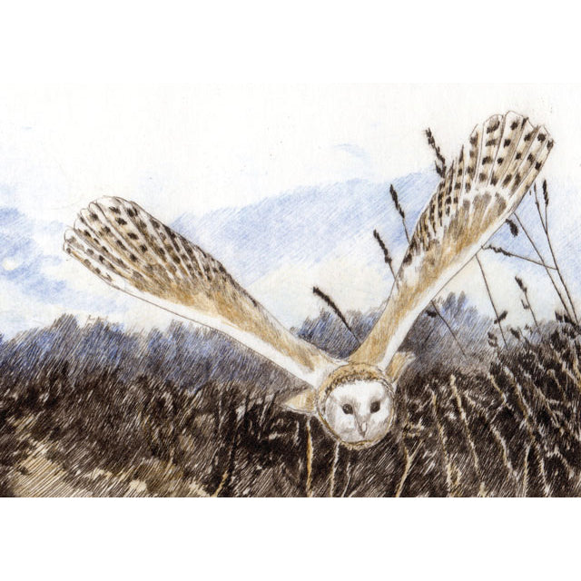 Sarah Bays, Swooping Low (Owl), Blank Art Card