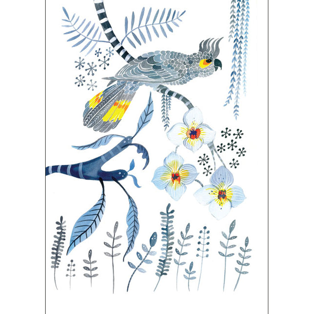 Sally Browne, Grey Cockatoo and Orchids (Australia) , Blank Greeting Card