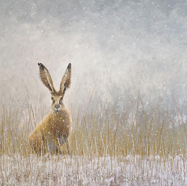 Sarah Pye, Hello Hare, Fine Art Greeting Card