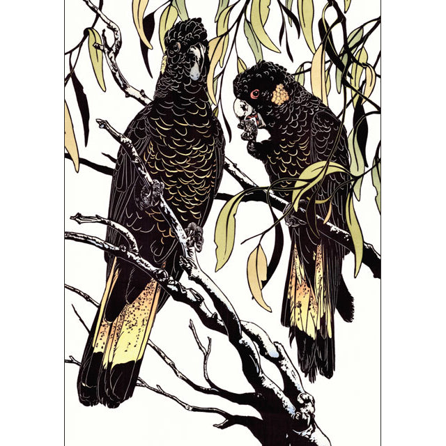 Vida Pearson, Yellow-Tailed Black Cockatoos in Gum Tree