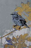 Starling - Set of 8 note cards