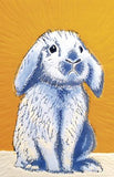 Bunny - Set of 8 note cards