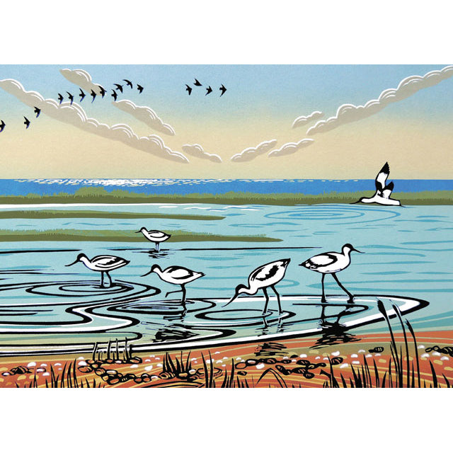 Rob BArnes, Wetland Avocets, Fine Art Greeting card